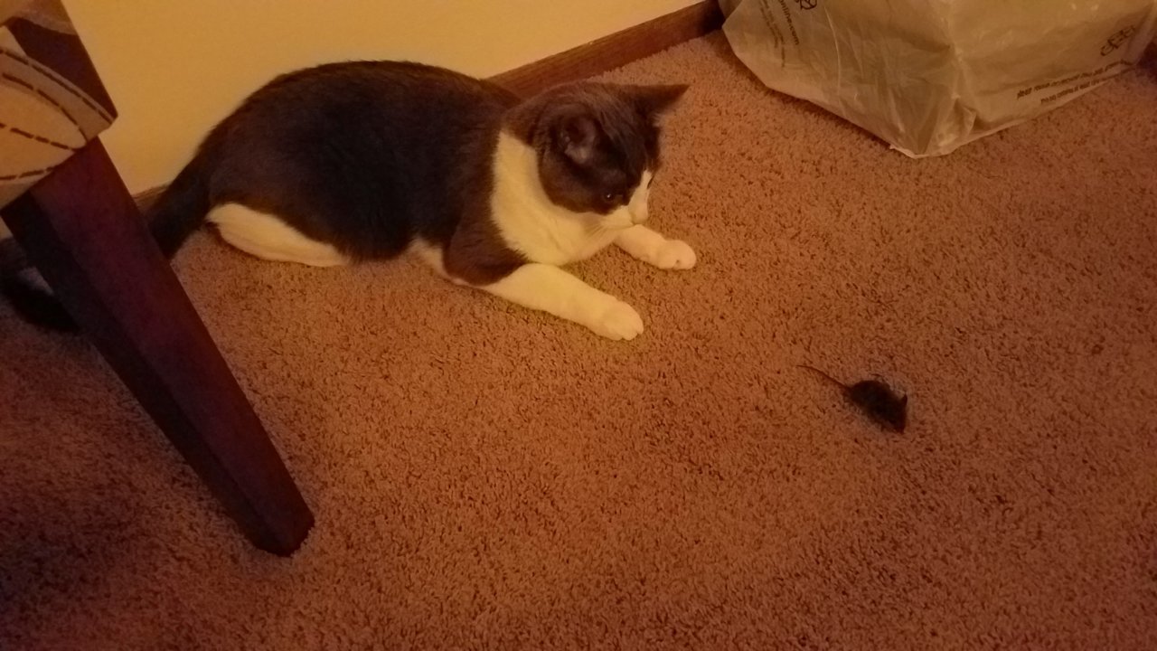 20190504_225350.jpg