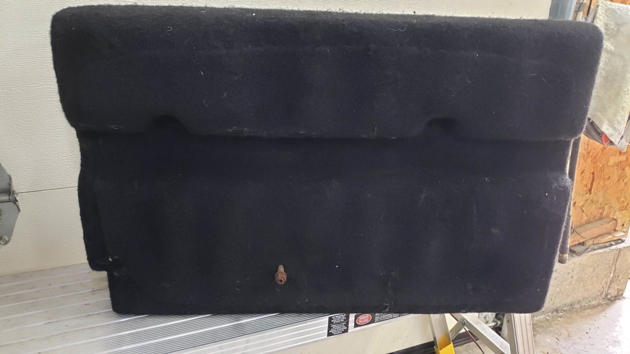 20190505_101208.jpg