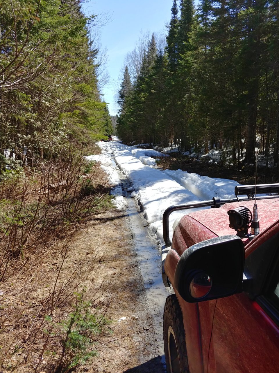 20190505_105143_HDR.jpg