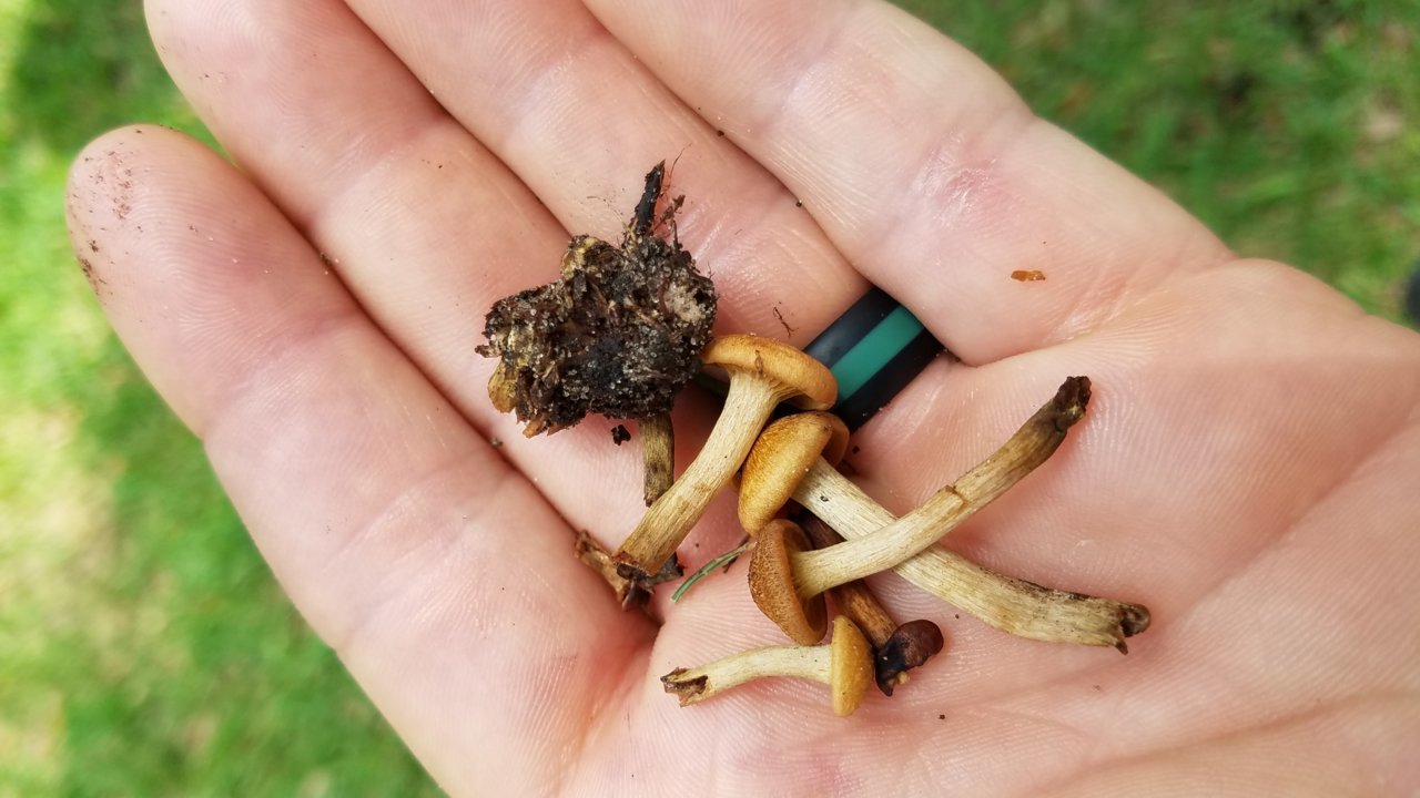 20190505_123129.jpg