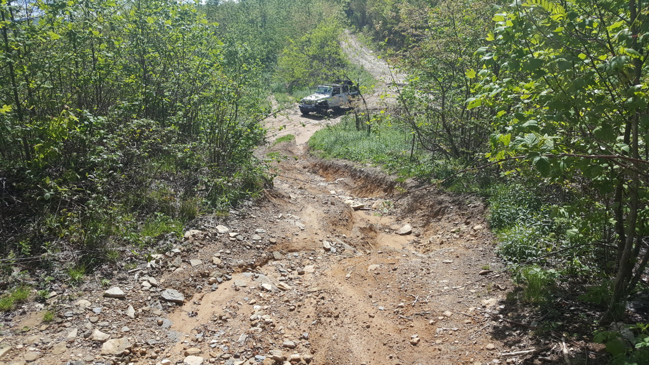 20190505_154922.jpg