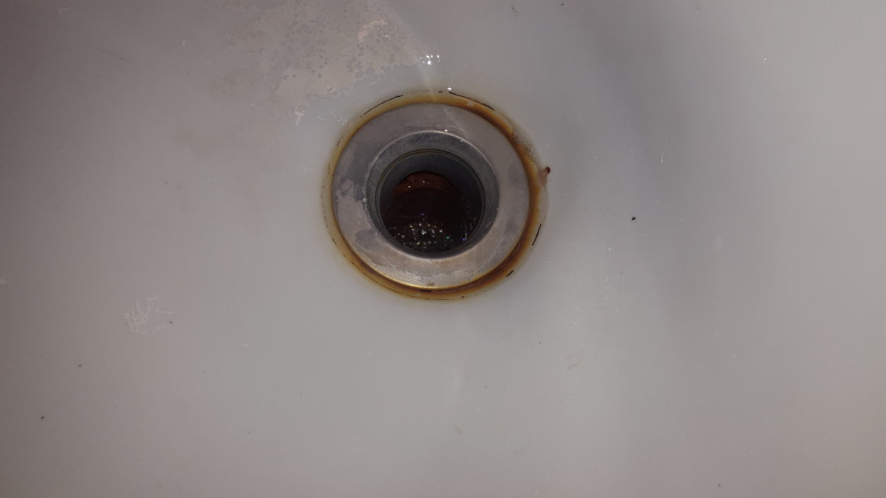 20190506_100114.jpg
