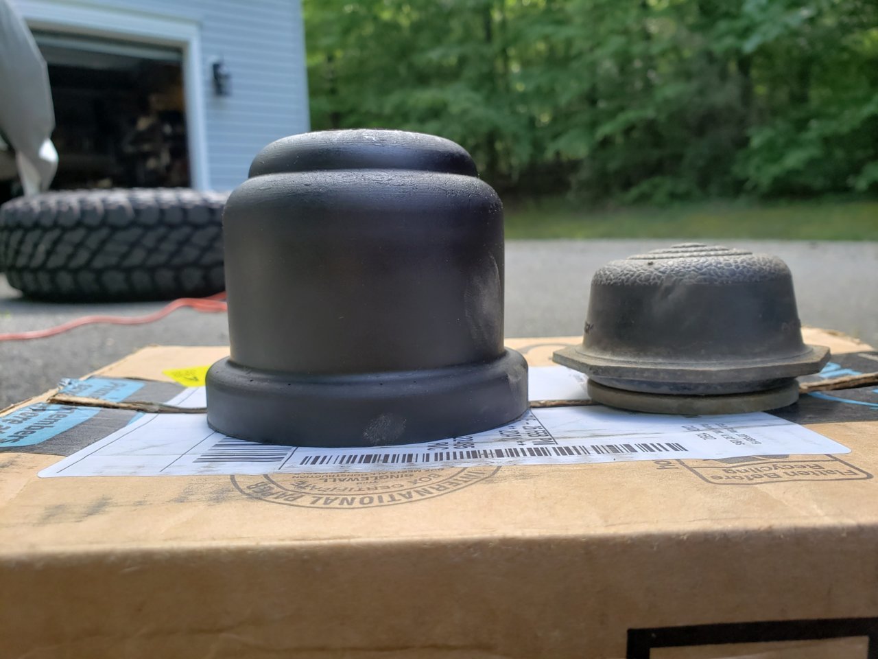 20190506_105629.jpg