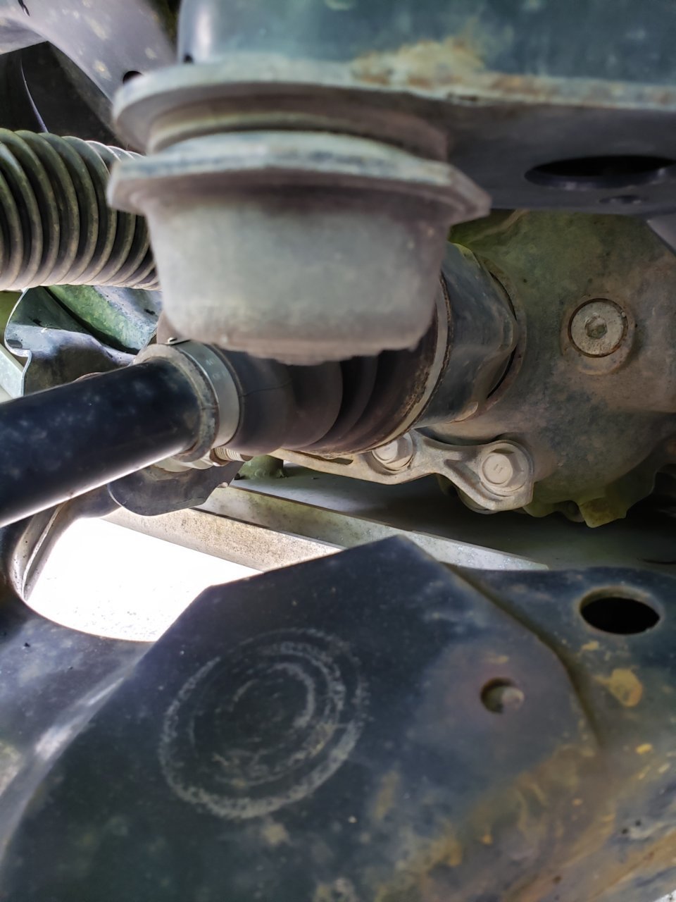 20190506_105639.jpg