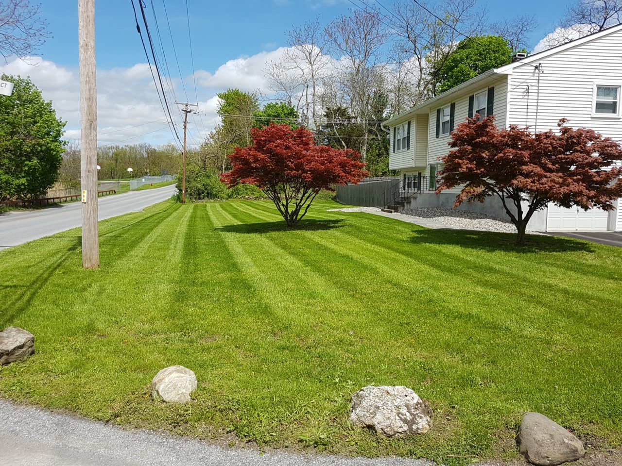 20190506_141225.jpg