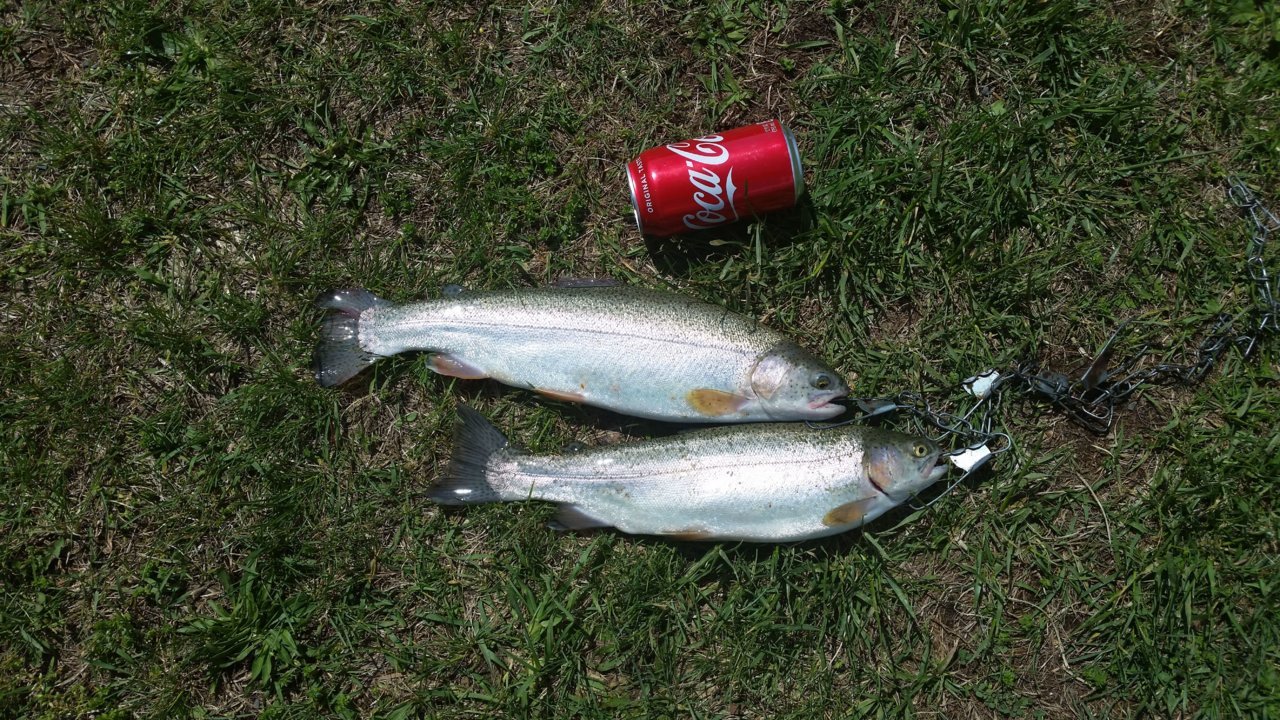 20190506_152240a.jpg