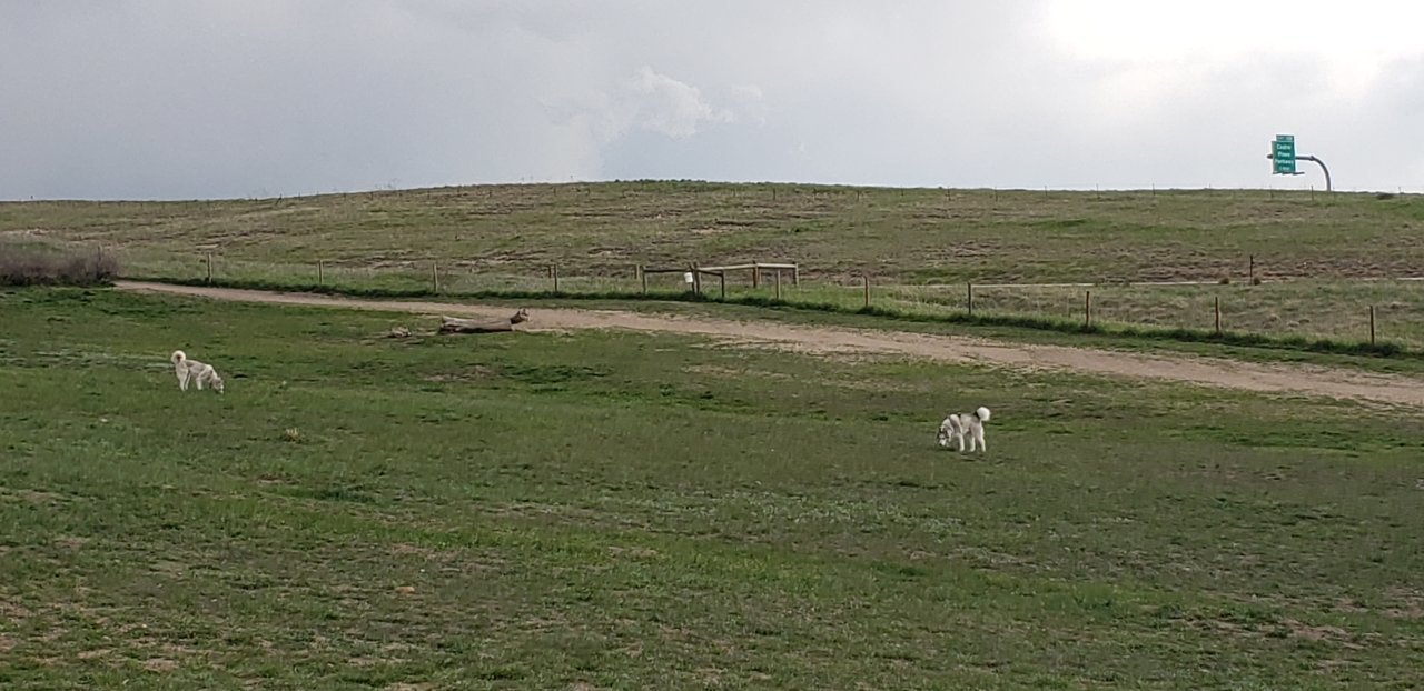 20190506_153521.jpg