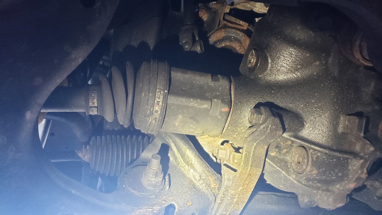 20190506_175348.jpg