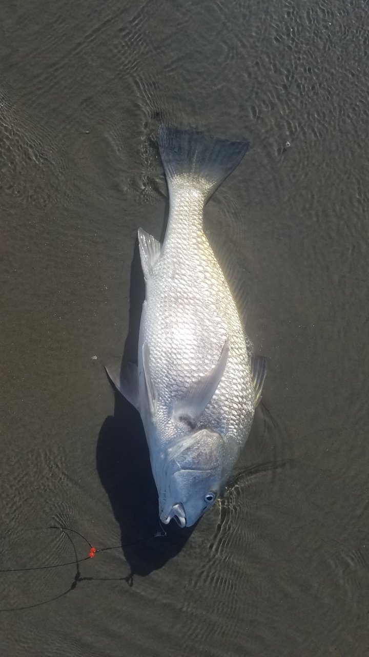 20190507_172354.jpg
