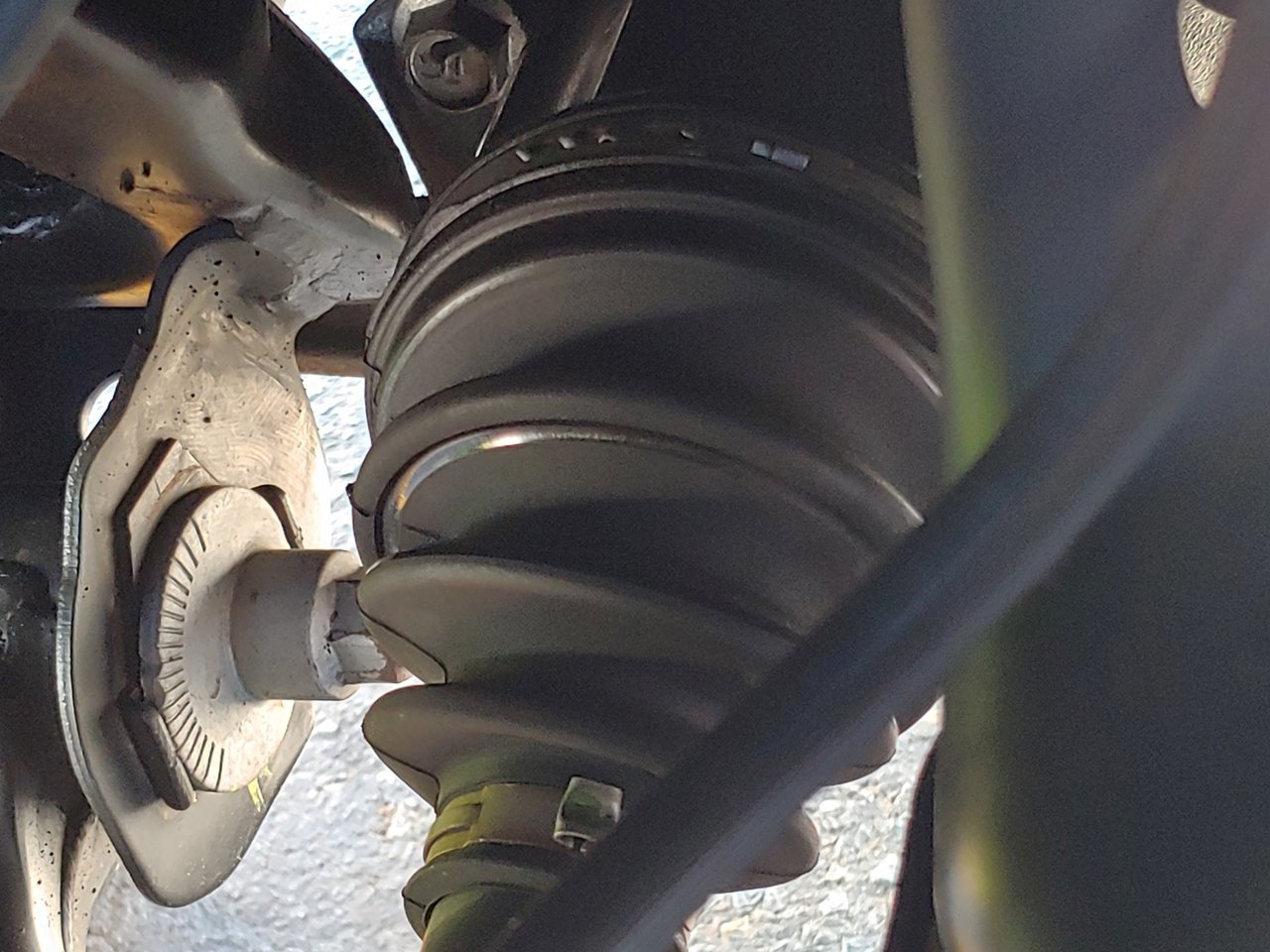 20190507_173203_HDR.jpg