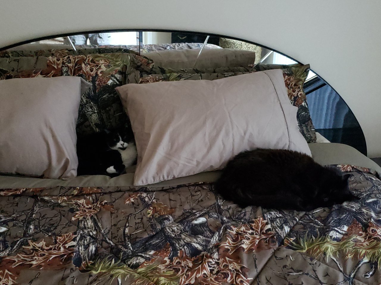 20190507_190842.jpg