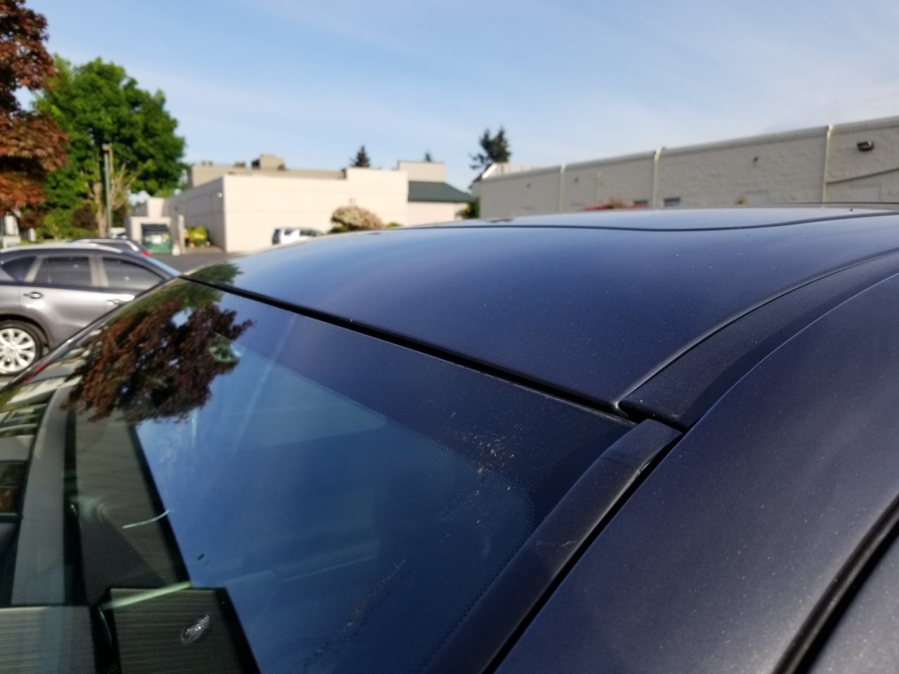 20190508_074709.jpg