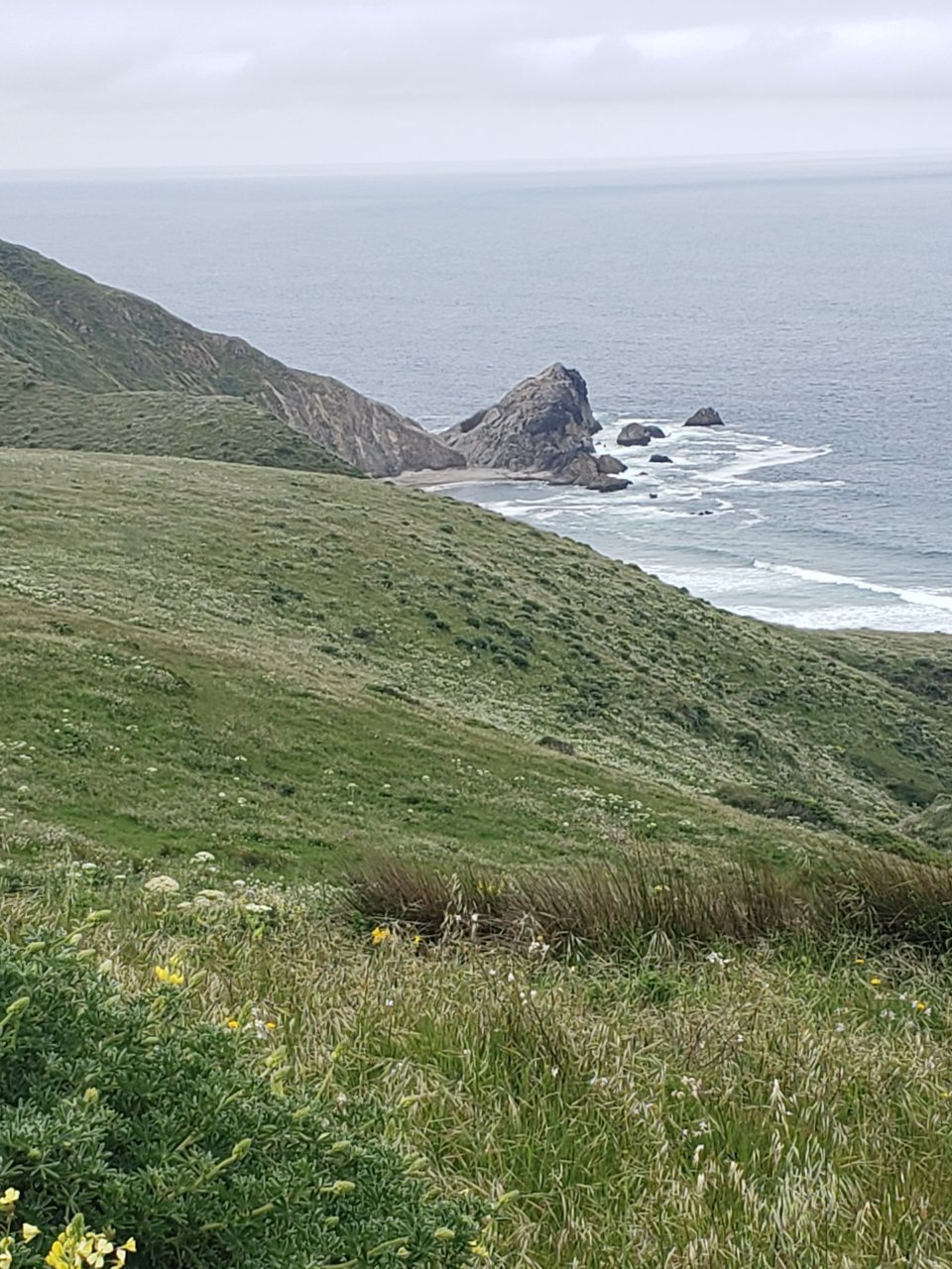 20190508_141537.jpg
