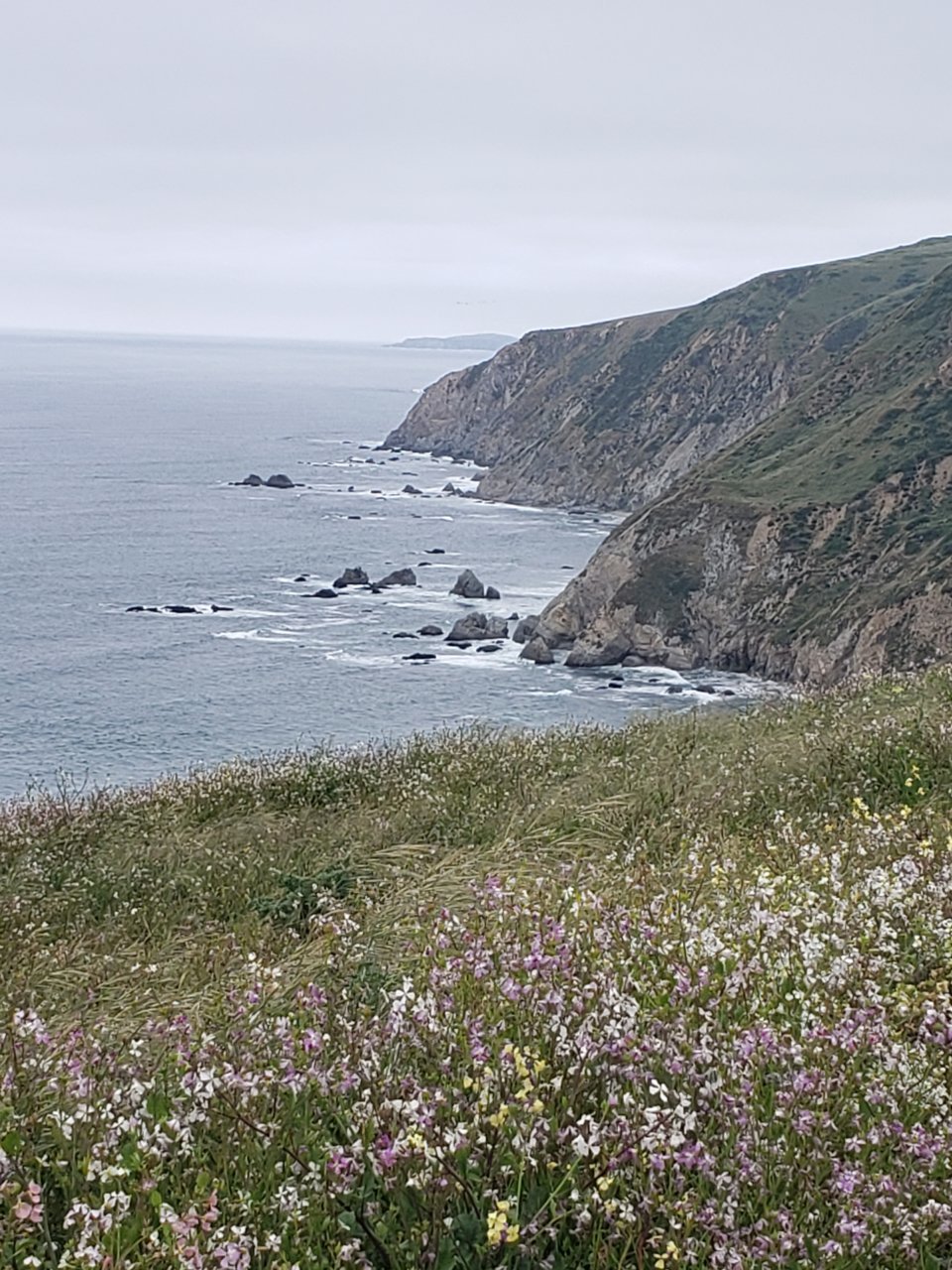 20190508_142416.jpg