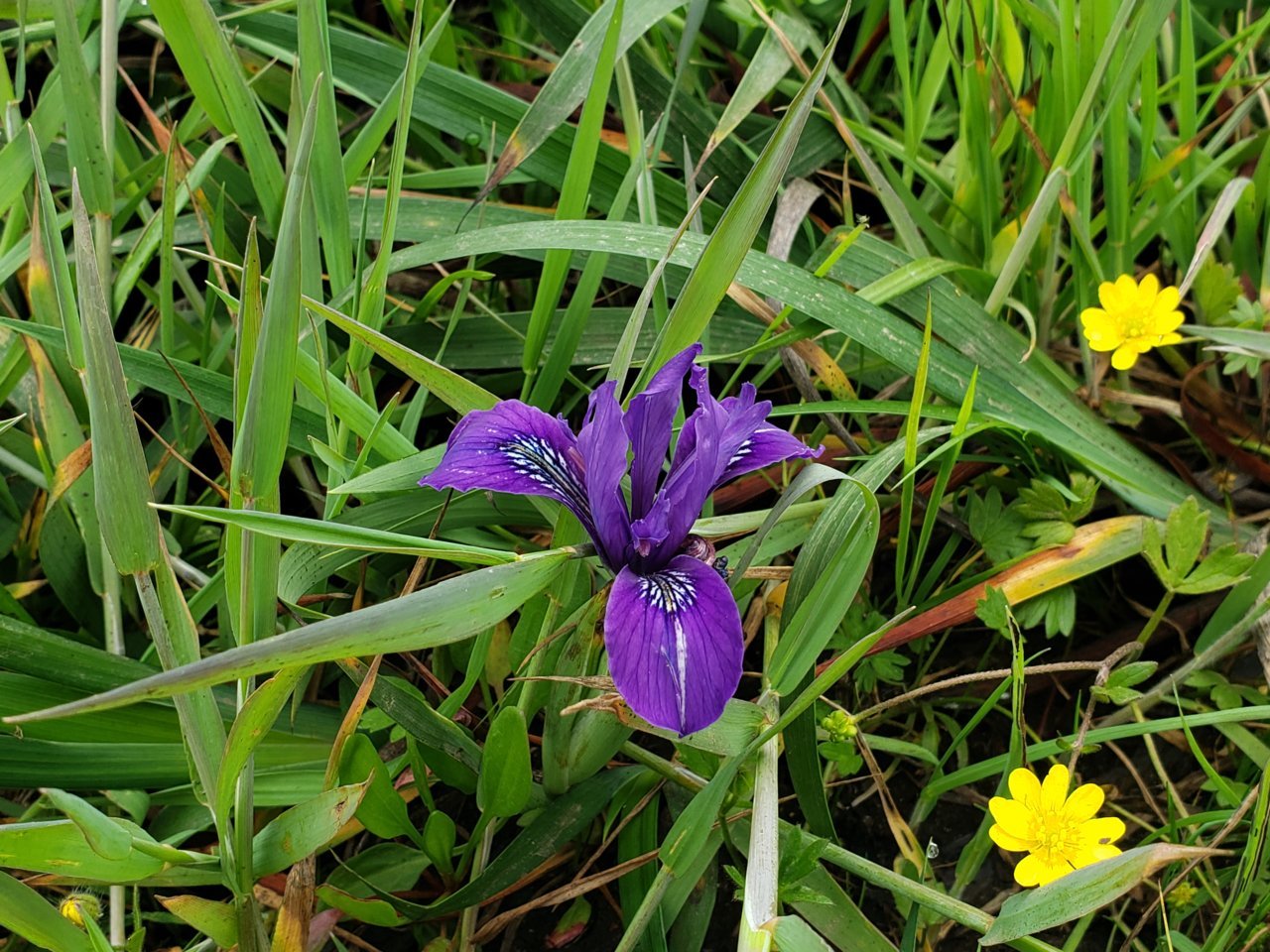 20190508_142722.jpg