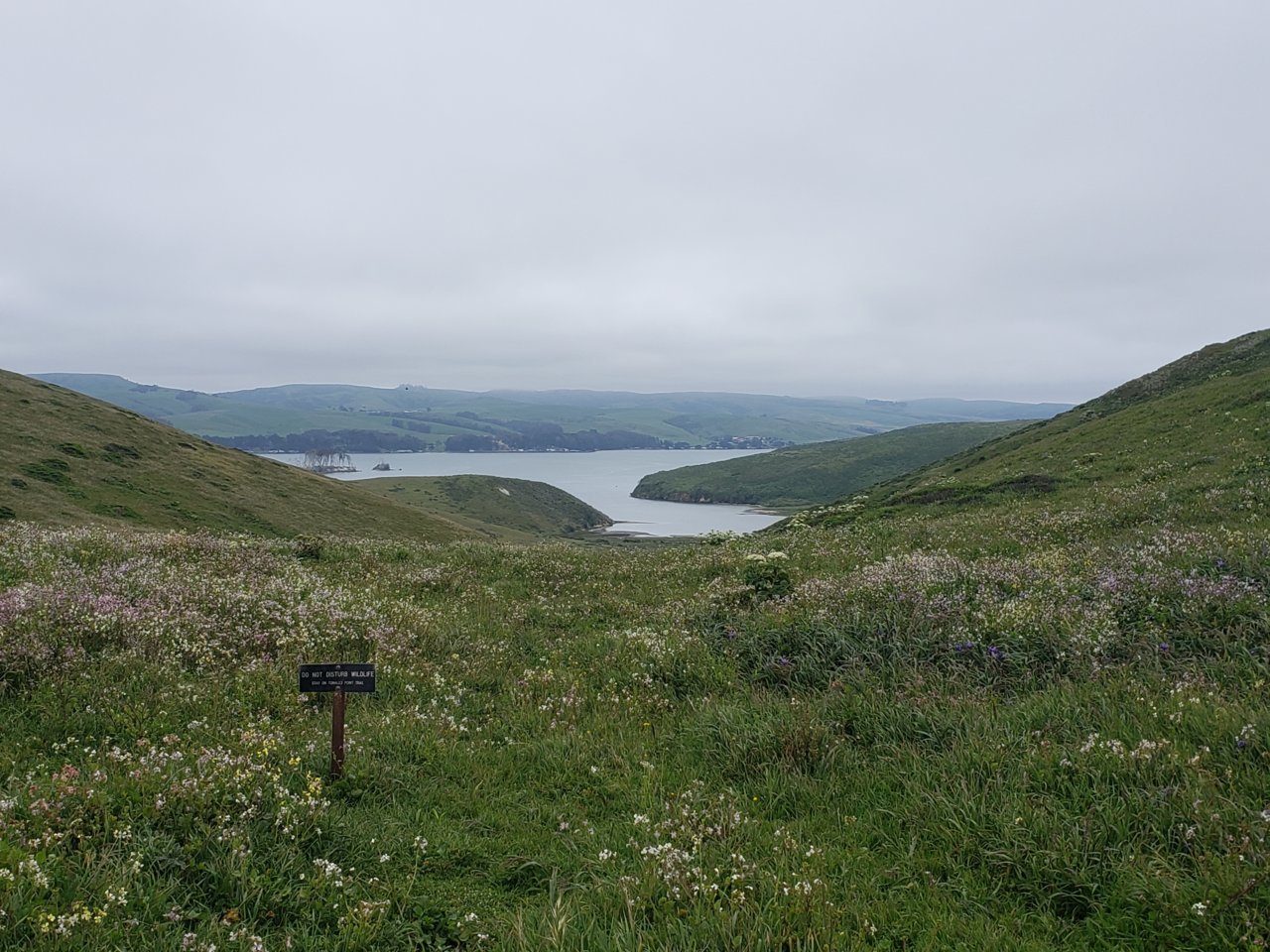 20190508_142818.jpg