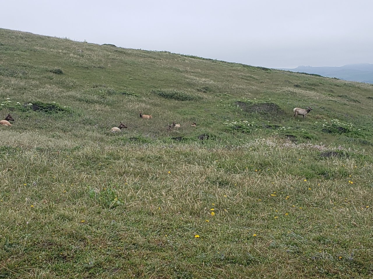 20190508_143148.jpg