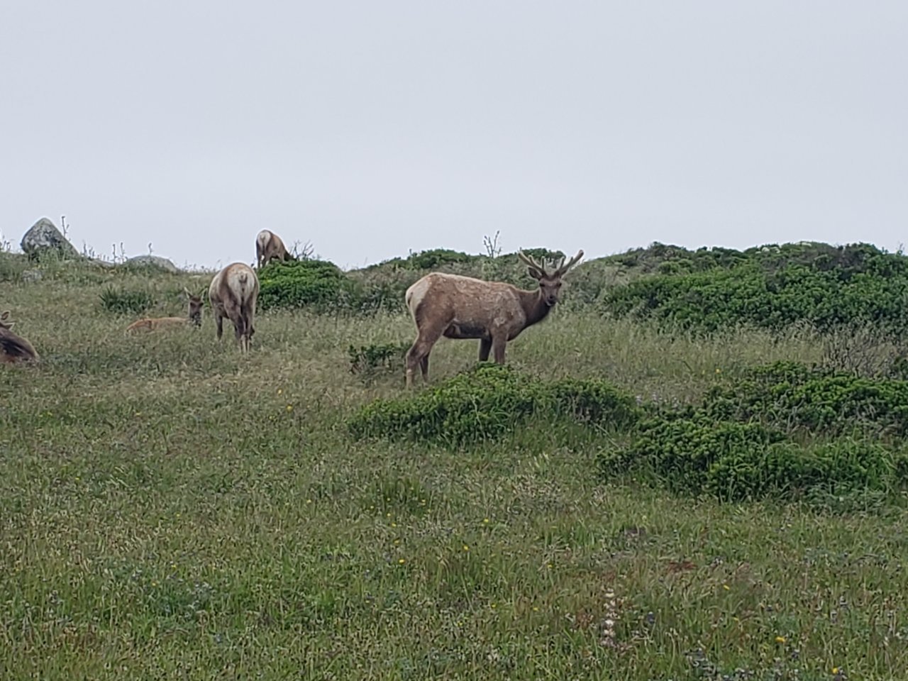 20190508_145201.jpg