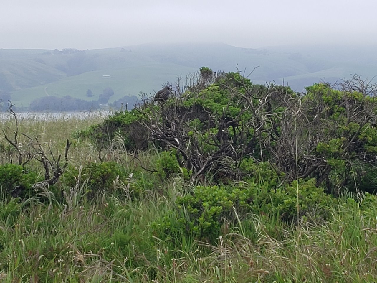 20190508_145411.jpg
