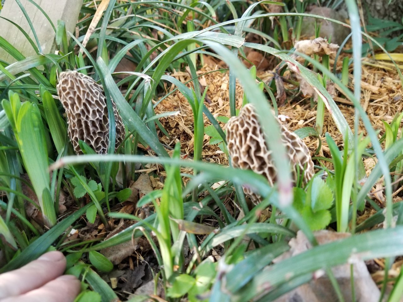 20190508_173249.jpg
