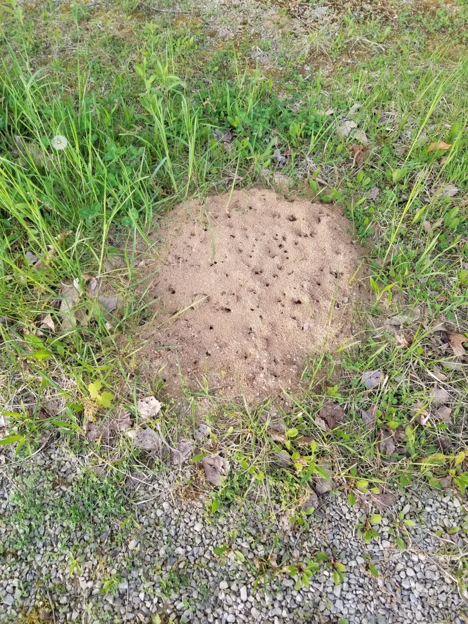 20190508_200614.jpg