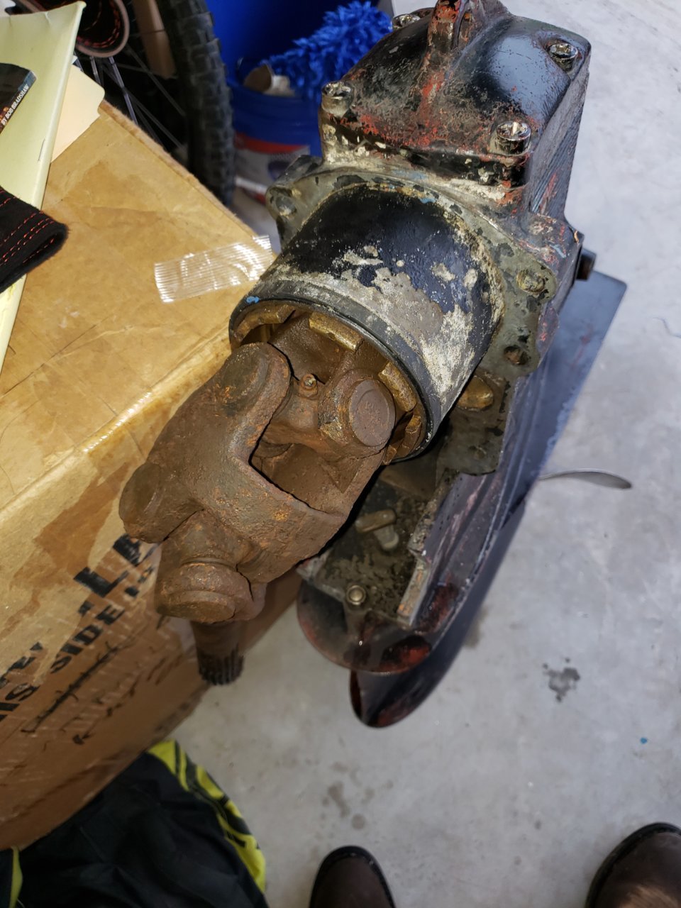 20190509_071824.jpg