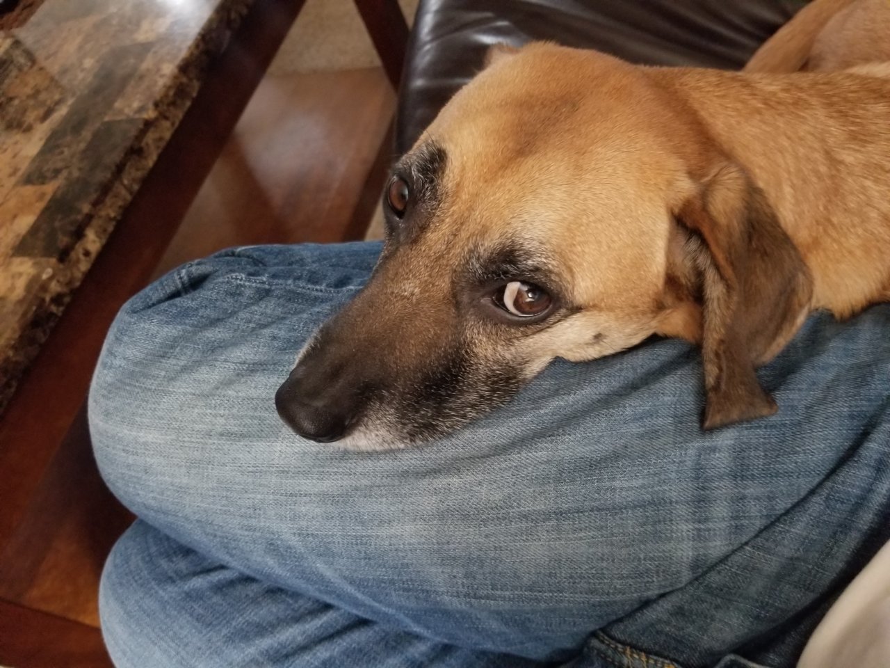 20190509_191523.jpg