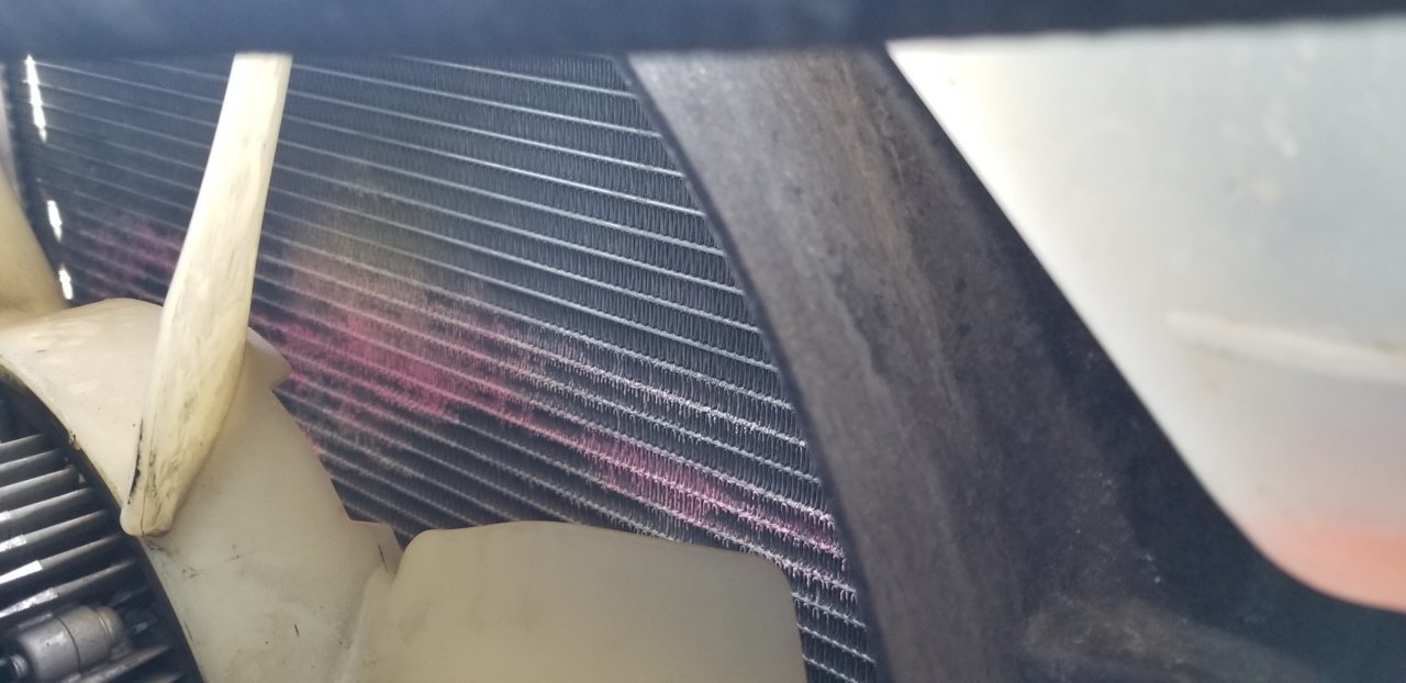 20190511_113511.jpg