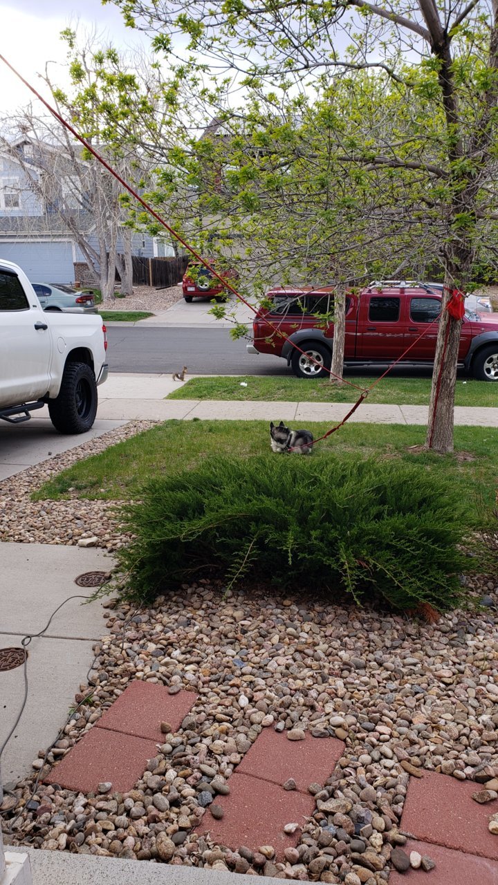 20190511_183415.jpg