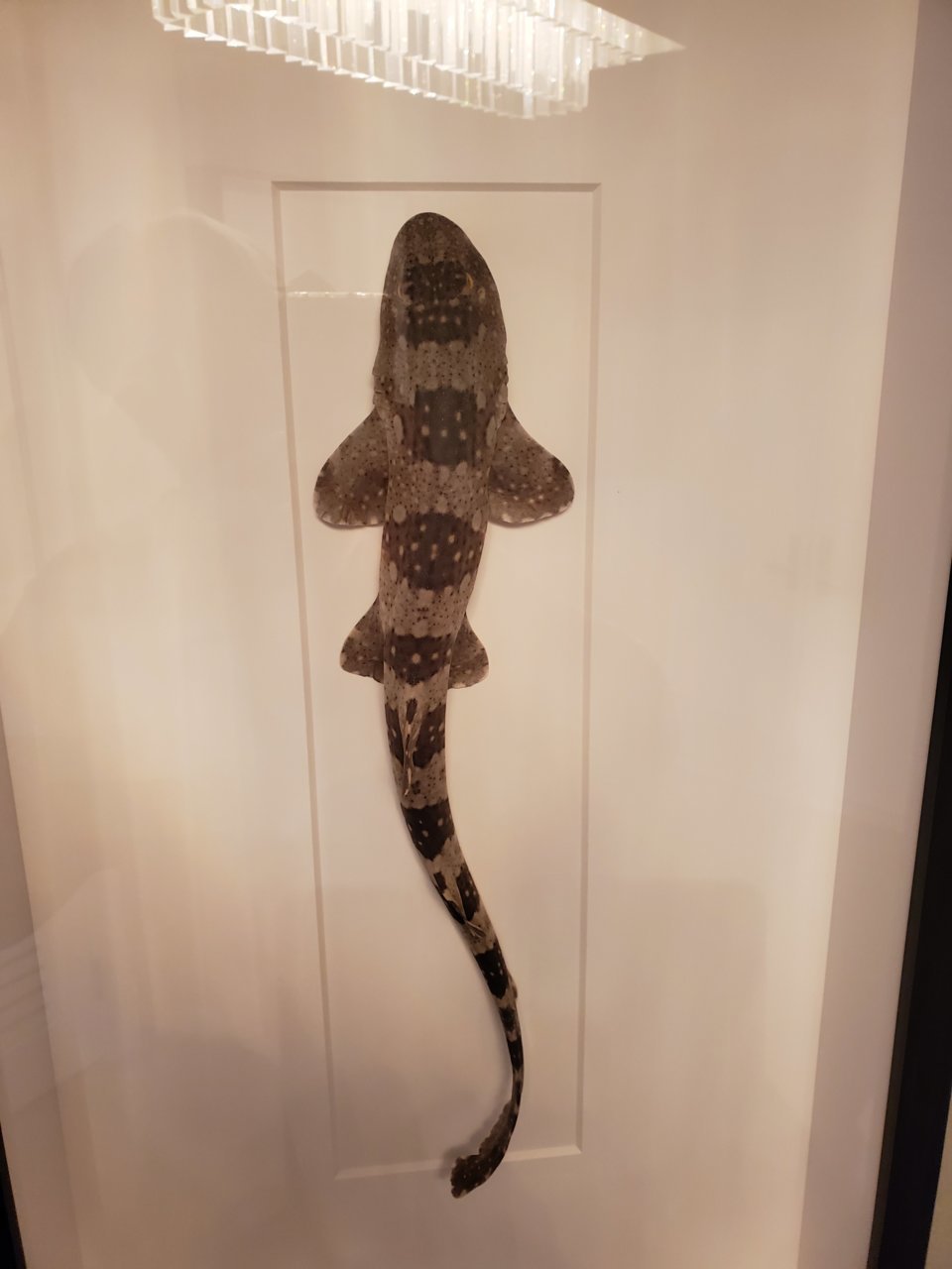 20190511_194248.jpg