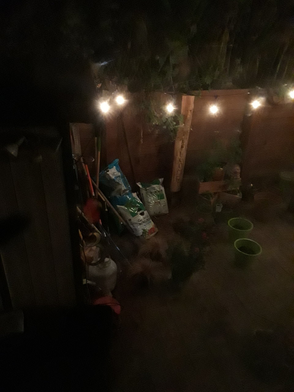 20190511_205426.jpg
