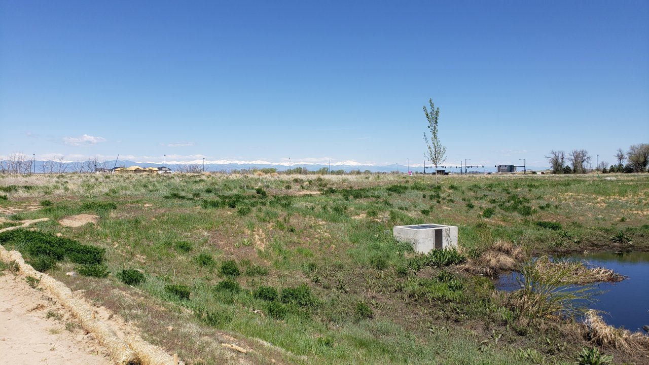 20190512_110326.jpg