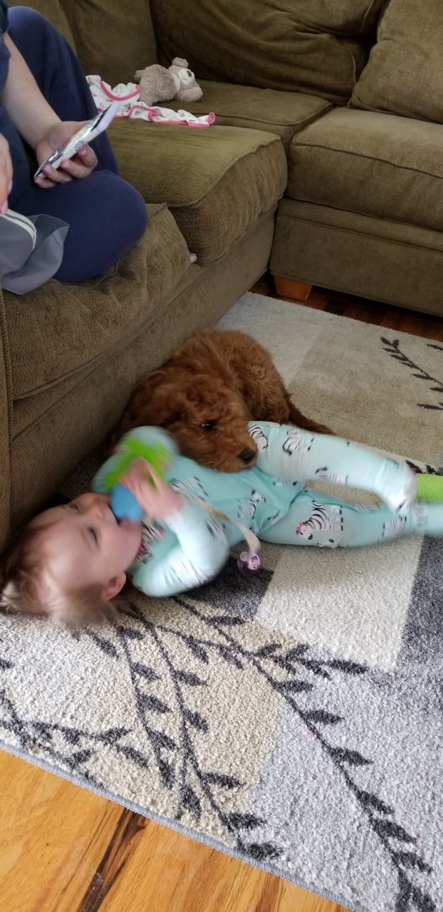 20190512_121404.jpg