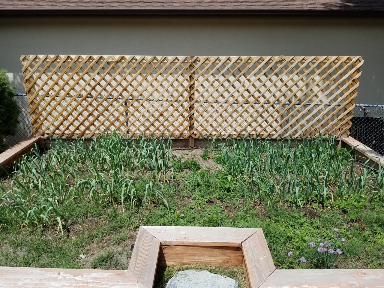 20190512_134223.jpg