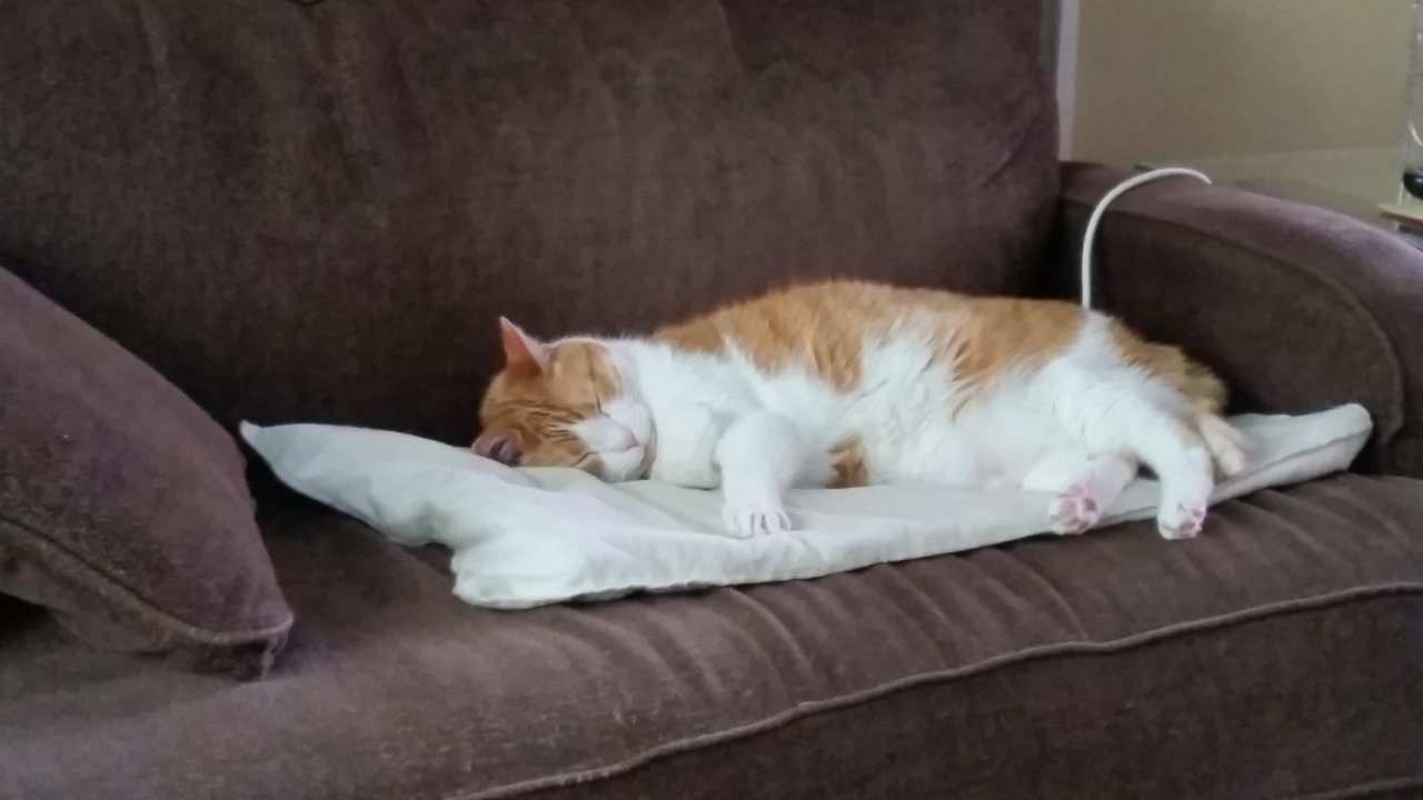20190513_095213.jpg