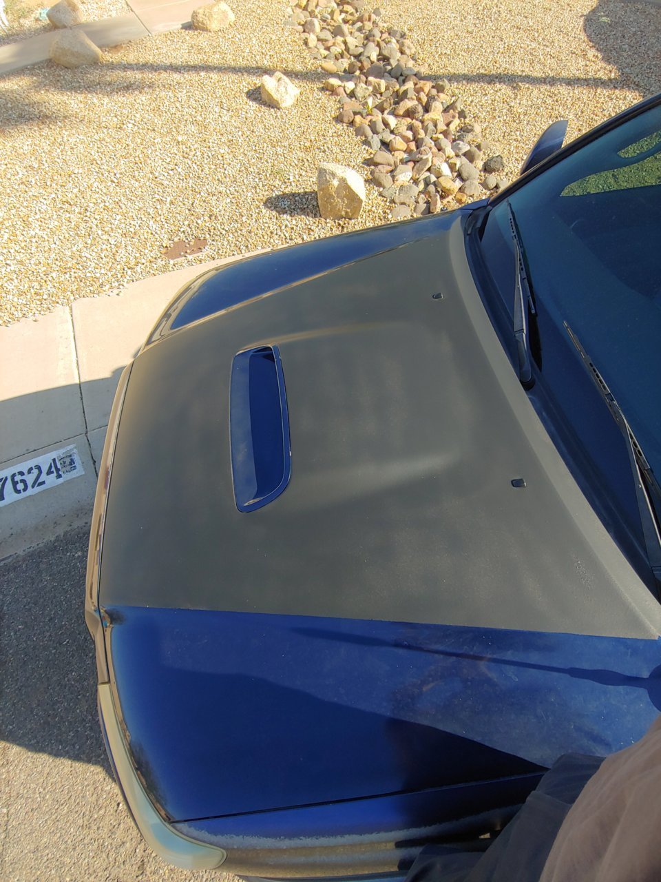 20190514_081158_HDR.jpg