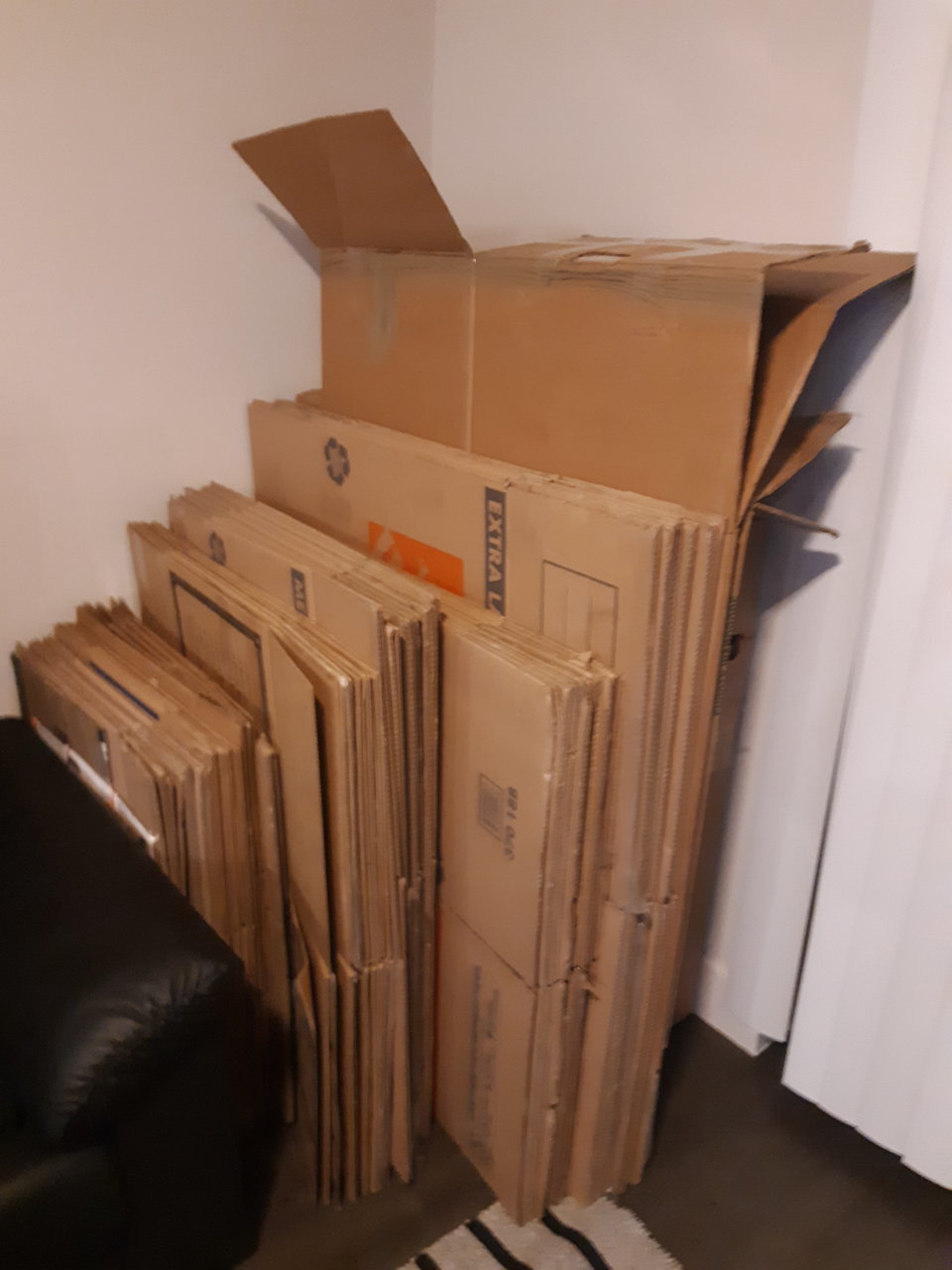 20190514_233601.jpg
