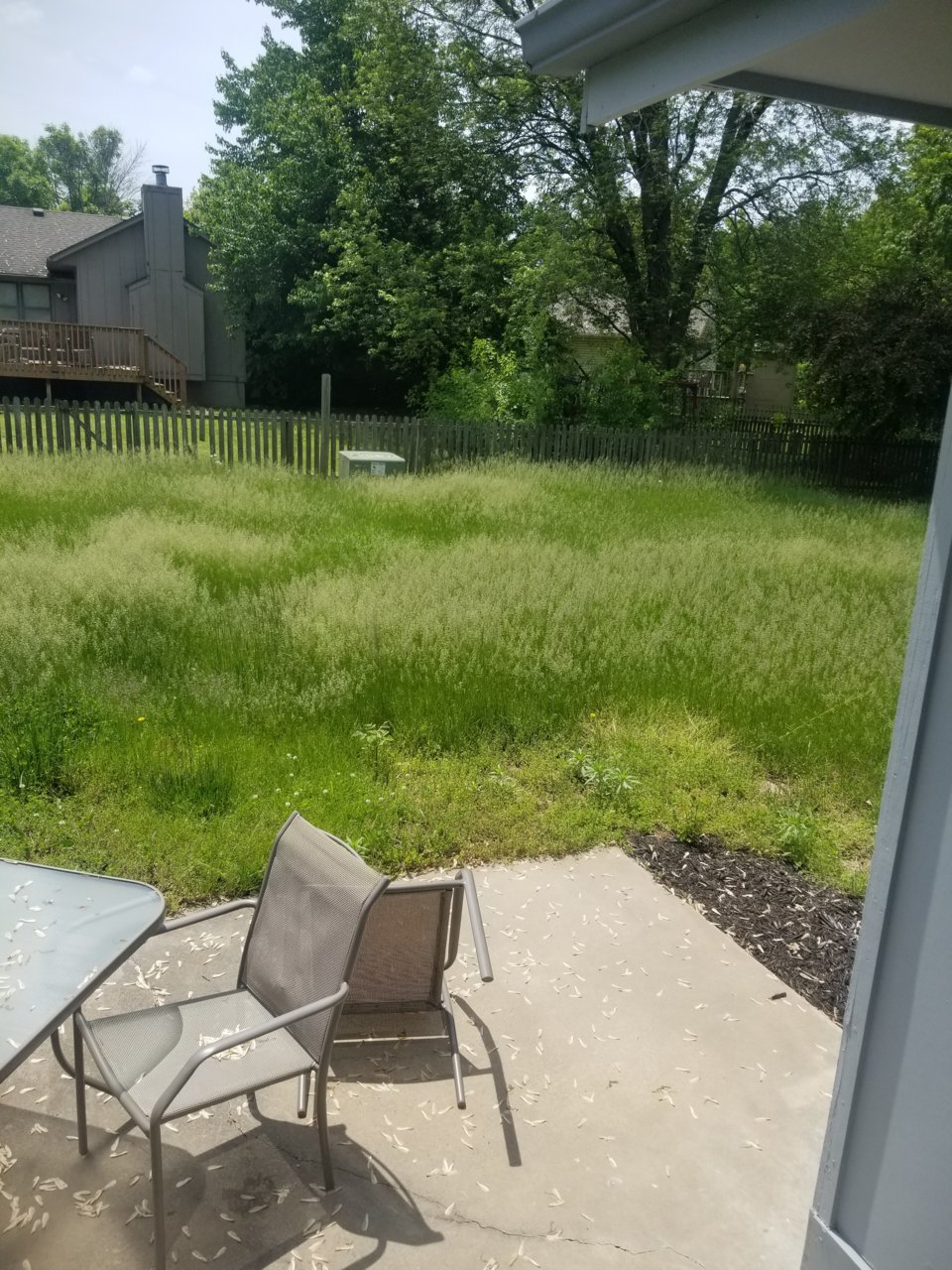 20190515_125913.jpg
