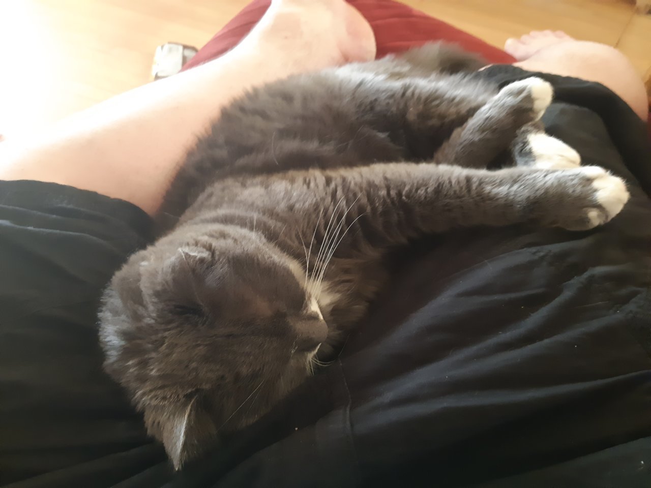 20190515_151212.jpg