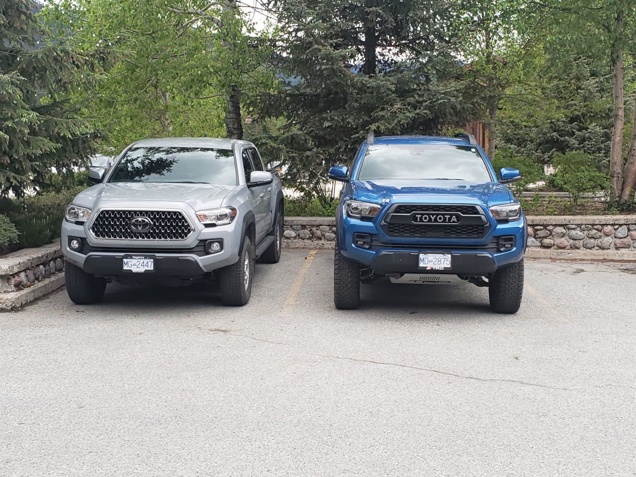 20190515_195113.jpg