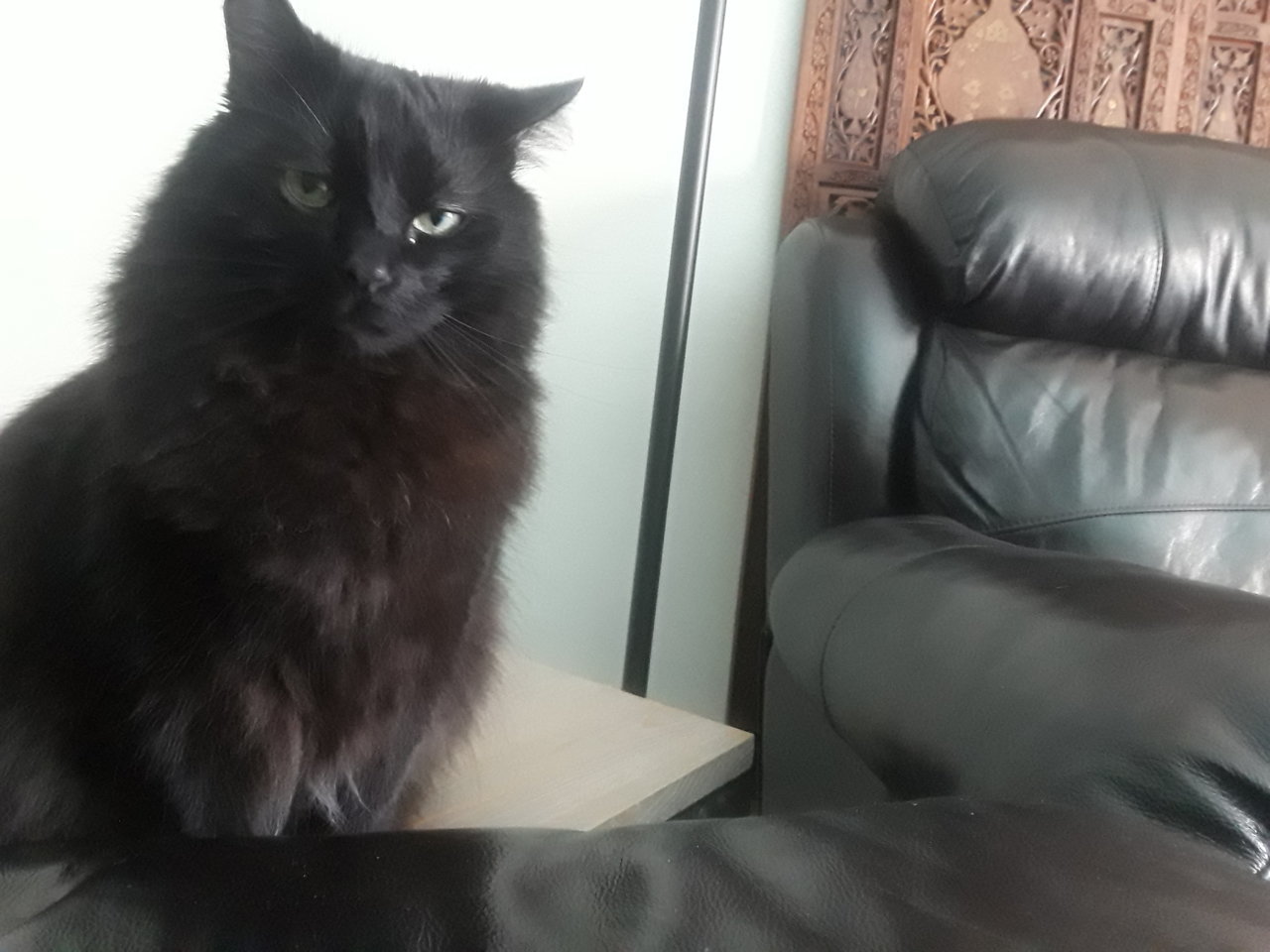 20190516_124103.jpg