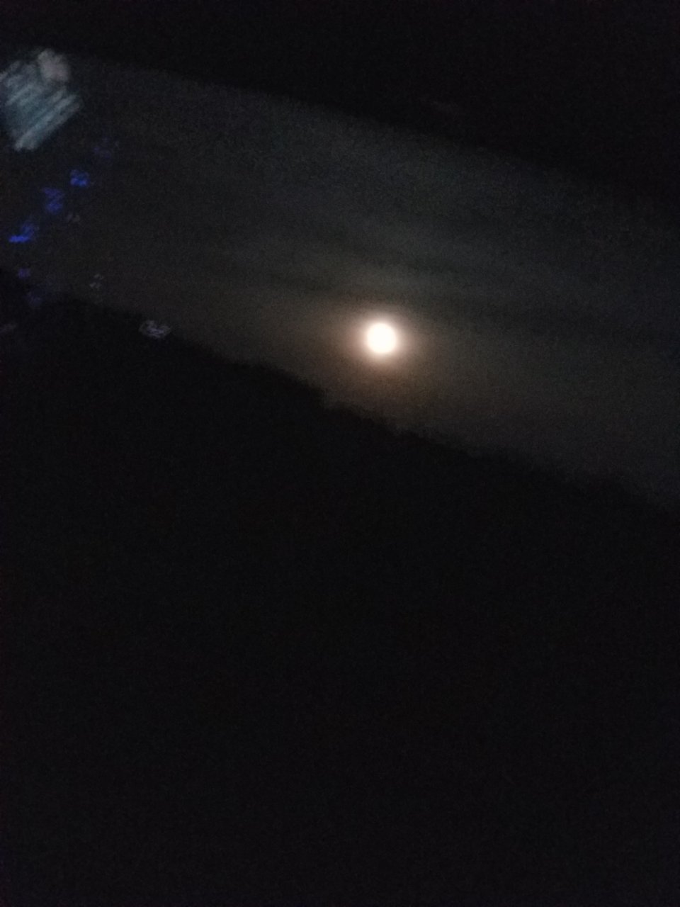 20190517_043230.jpg