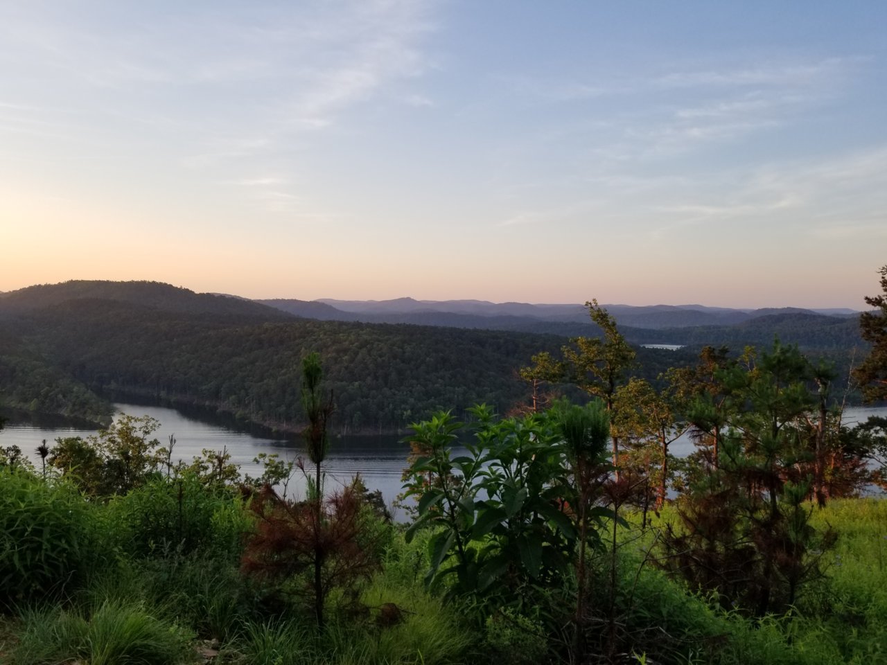 20190517_063331.jpg