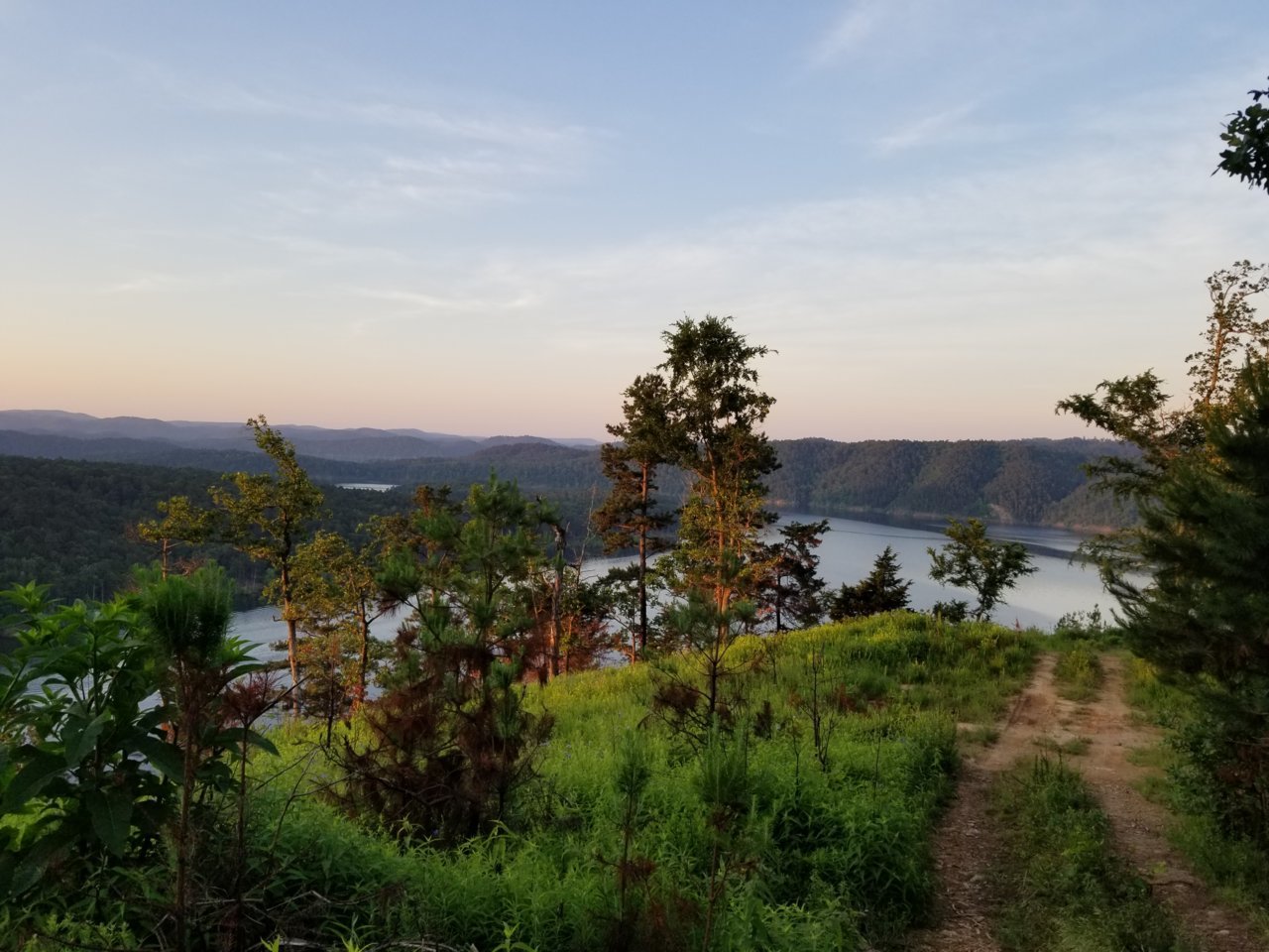 20190517_063334.jpg
