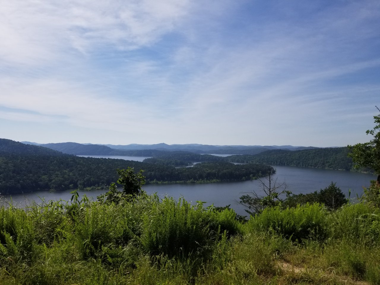 20190517_100118.jpg