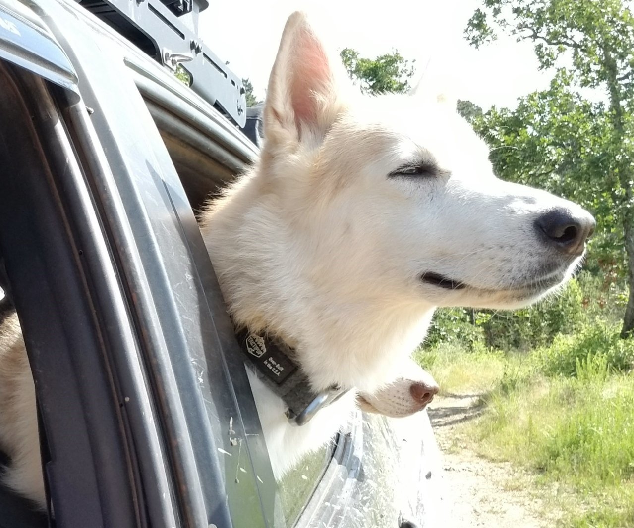 20190517_100128 -2.jpg