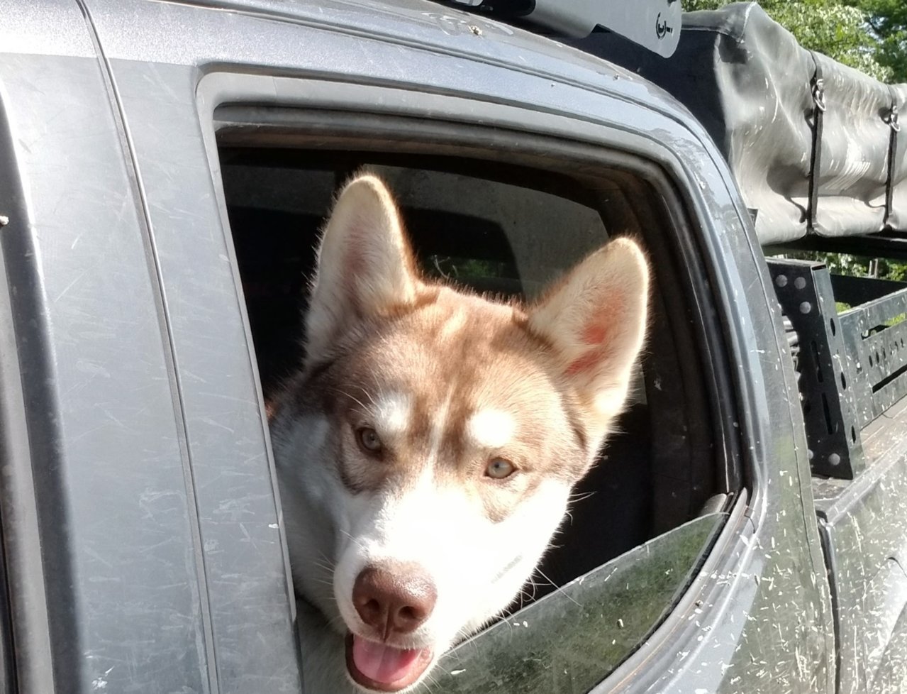 20190517_100143-2.jpg