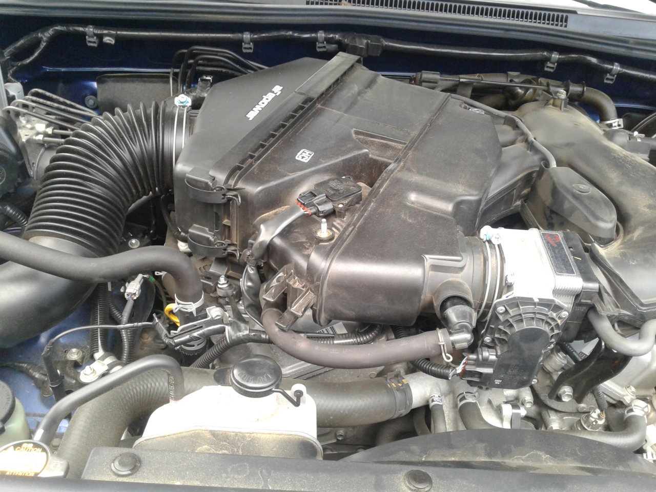 20190517_101054.jpg