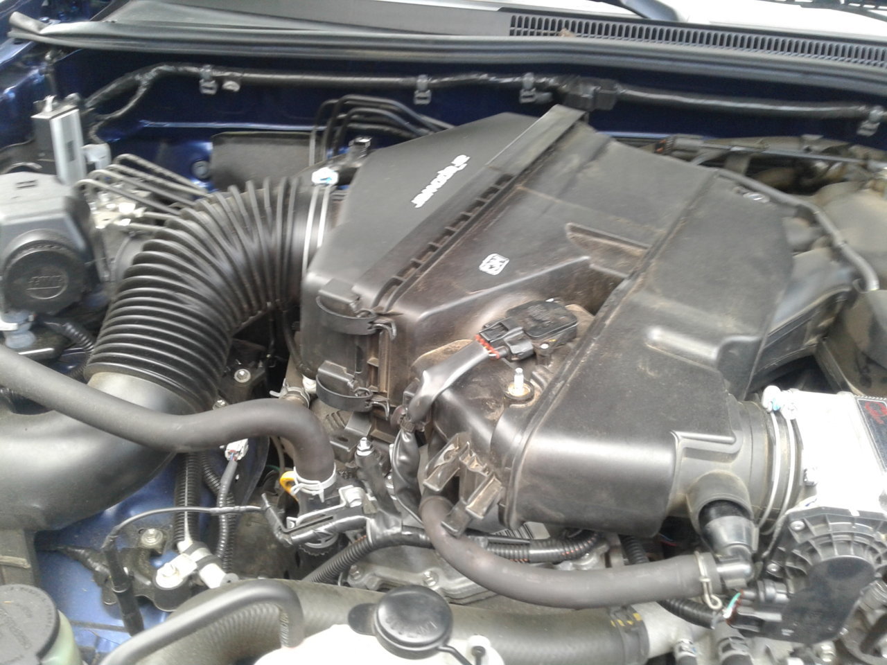20190517_101118.jpg