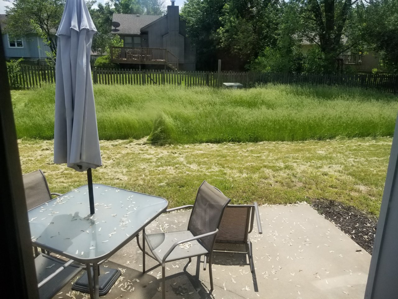 20190517_135241.jpg